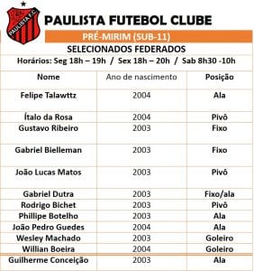 TURMA DE FEDERADOS PRÉ-MIRIM